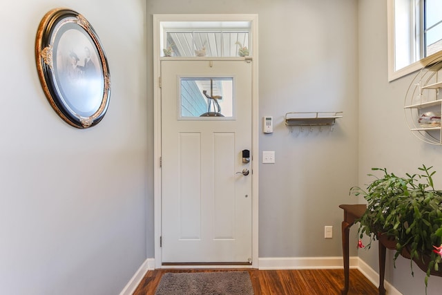 foyer entrance featuring dark wood-type flooring