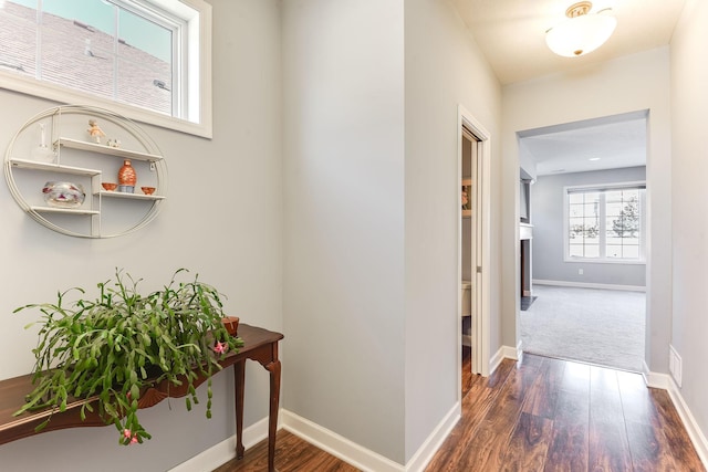 corridor with dark hardwood / wood-style floors