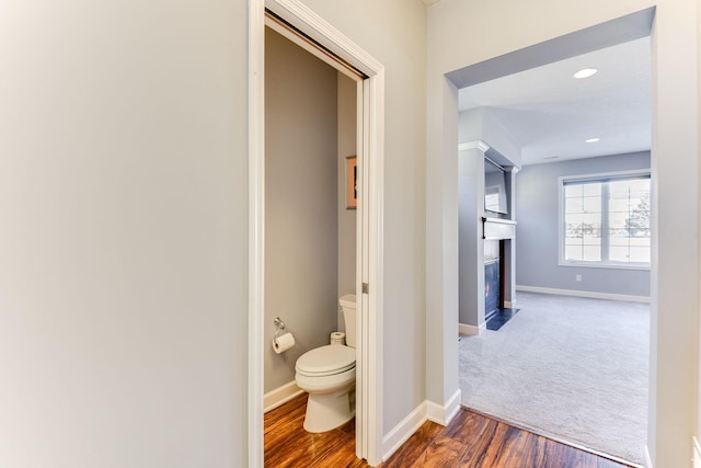 bathroom with hardwood / wood-style flooring and toilet