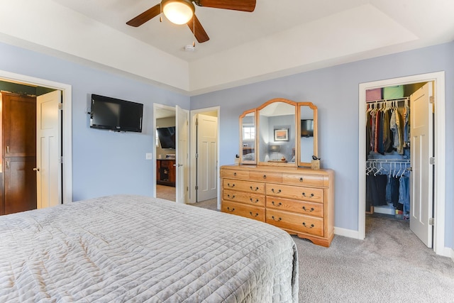 carpeted bedroom with a tray ceiling, a walk in closet, a closet, and ceiling fan