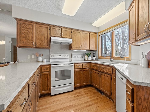 kitchen featuring white appliances, brown cabinetry, light wood-style flooring, a sink, and under cabinet range hood