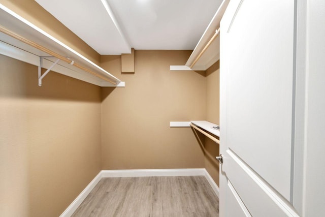 spacious closet with light wood-type flooring