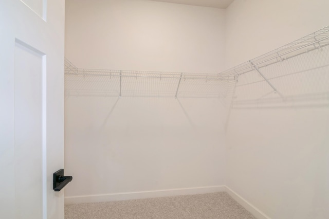 walk in closet featuring carpet flooring