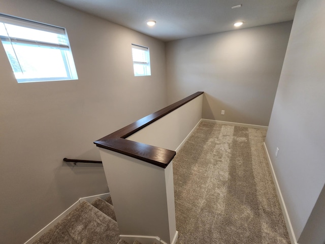 stairs featuring carpet floors