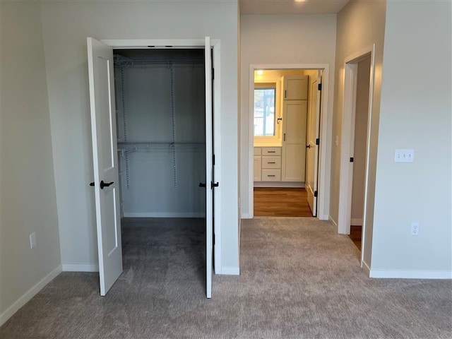 unfurnished bedroom with a closet and carpet