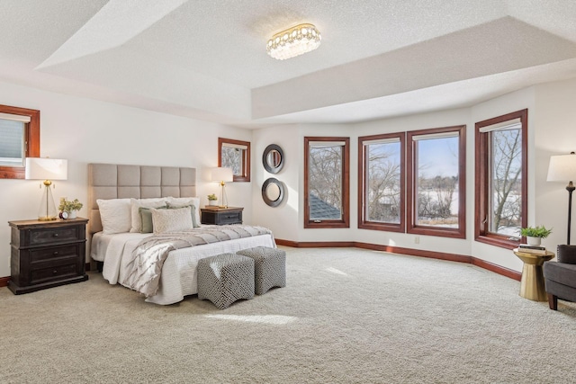 carpeted bedroom featuring a raised ceiling