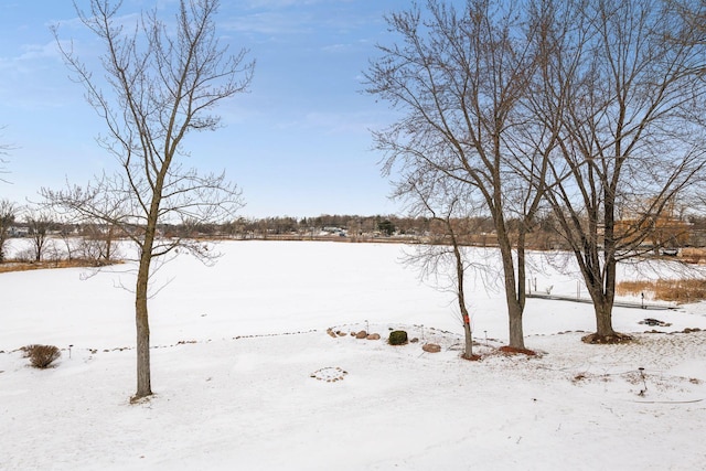 view of snowy yard