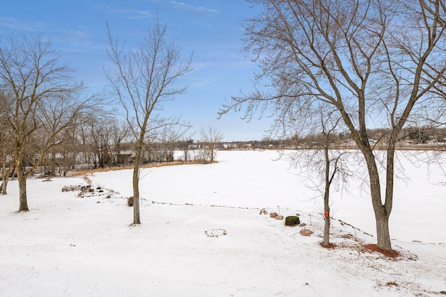 view of yard covered in snow