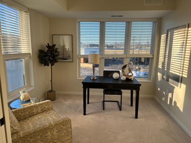 carpeted office space featuring plenty of natural light