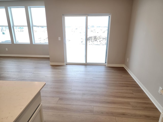 unfurnished room featuring plenty of natural light and light wood-type flooring