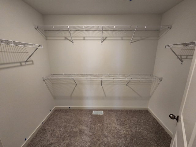 spacious closet with carpet