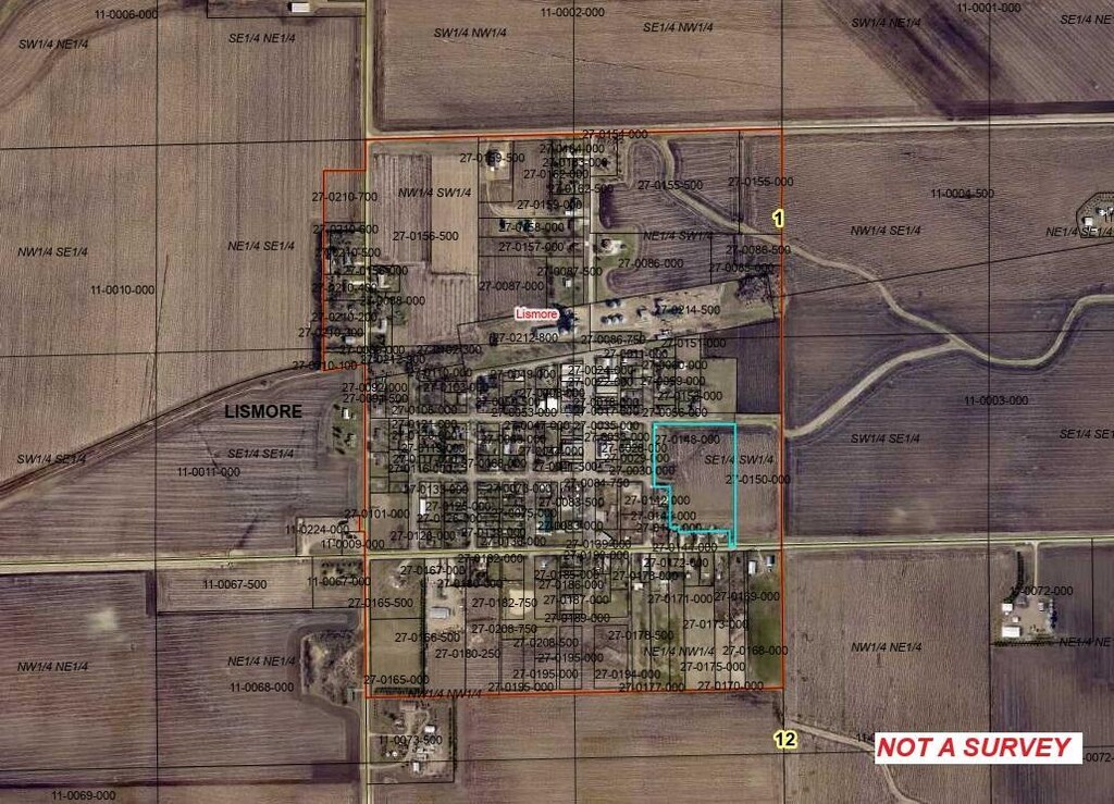 TBD 4th Ave, Lismore, MN 56155