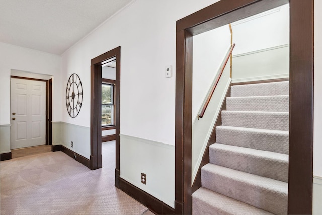 stairway with carpet flooring