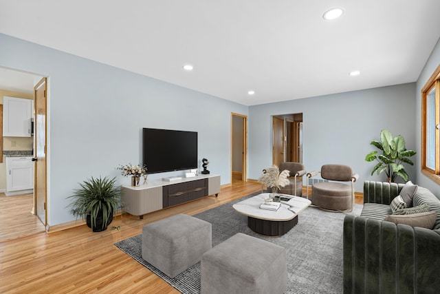 living room with light hardwood / wood-style flooring