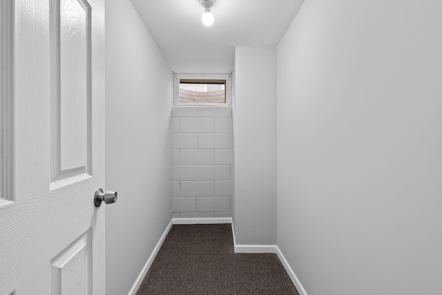 spacious closet with dark colored carpet