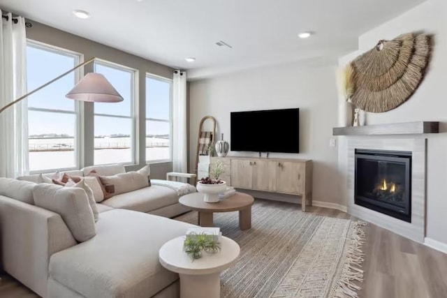 living room featuring hardwood / wood-style flooring