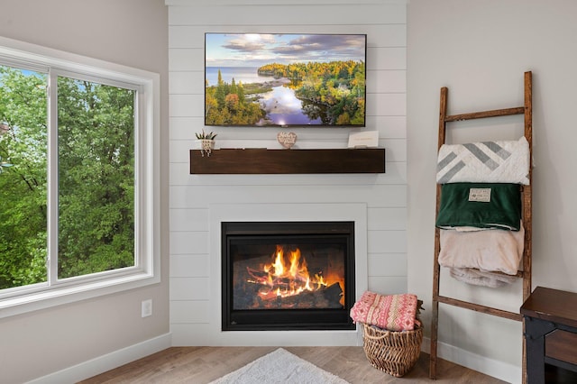 room details featuring hardwood / wood-style floors and a large fireplace