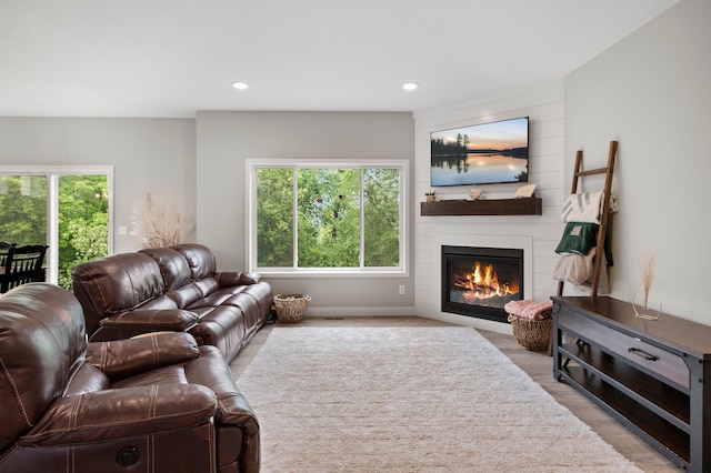 living room featuring a fireplace and light wood-type flooring