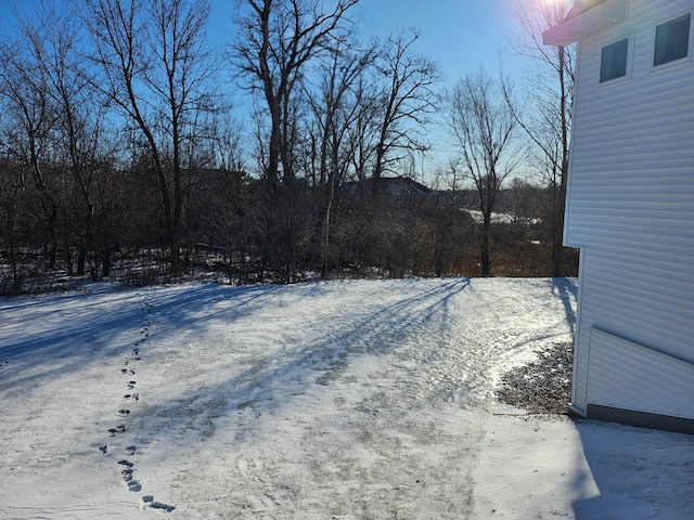 view of yard covered in snow