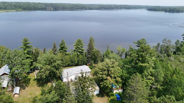 bird's eye view with a water view