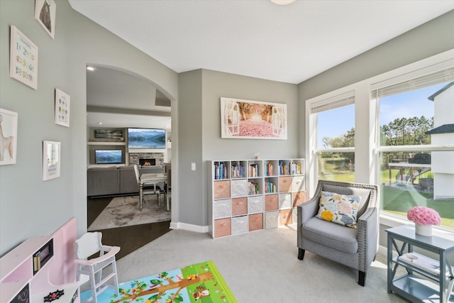 rec room with carpet floors and a stone fireplace