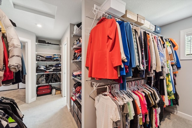 walk in closet with light carpet