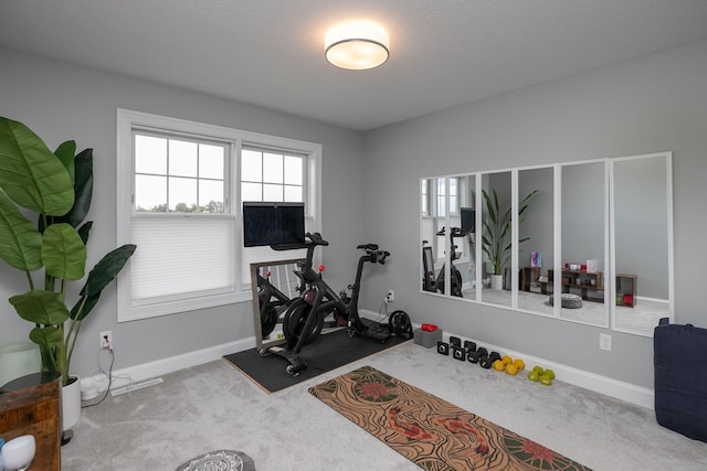 992 Southwell Enclave NE, Byron, MN 55920 - workout room with carpet floors and baseboards