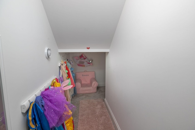 992 Southwell Enclave NE, Byron, MN 55920 - playroom featuring carpet floors