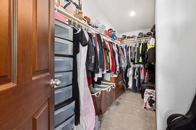 spacious closet with light colored carpet