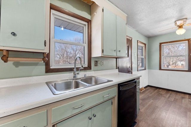 kitchen featuring dishwasher, sink, light wood-type flooring, ceiling fan, and a textured ceiling