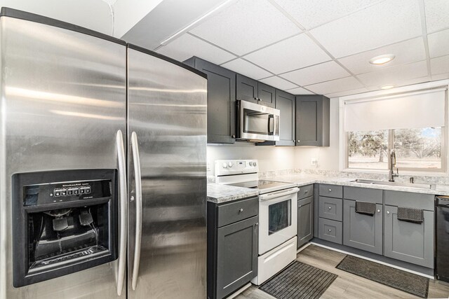 kitchen with a drop ceiling, gray cabinets, a sink, light wood finished floors, and stainless steel appliances