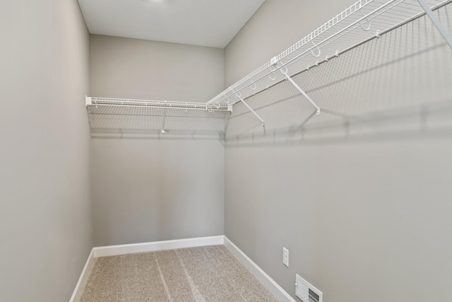 walk in closet with carpet floors