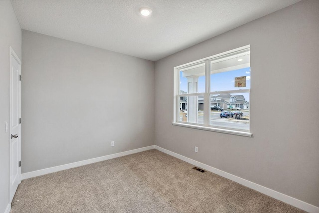 13621 Aulden Ave, Rosemount, MN 55068 - carpeted spare room with baseboards and a textured ceiling