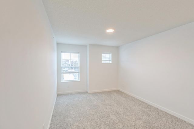 spare room with light colored carpet