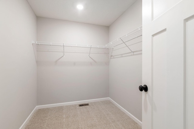 walk in closet with carpet flooring