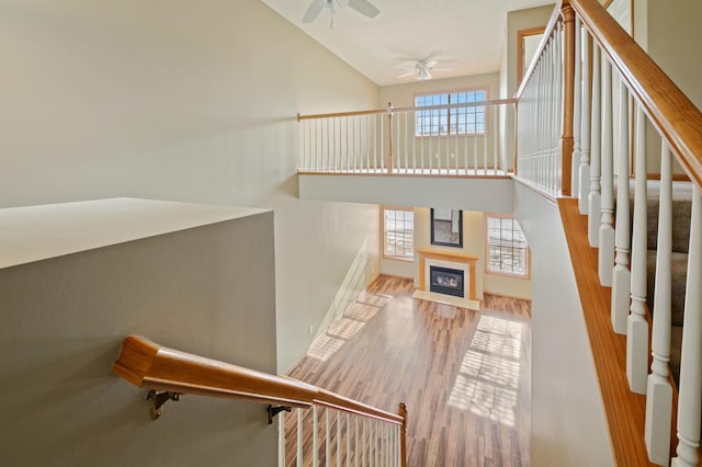 stairway with ceiling fan, wood-type flooring, and high vaulted ceiling