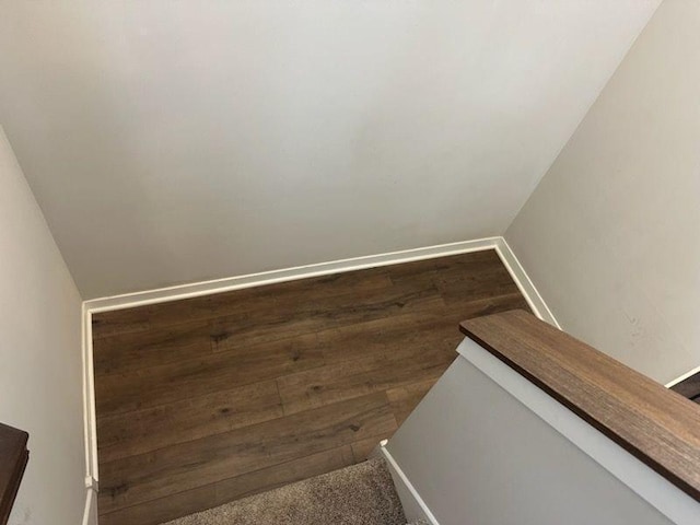 staircase with carpet floors