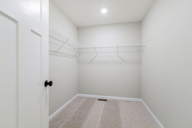 walk in closet featuring visible vents and carpet floors