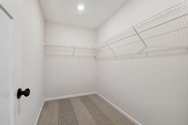 spacious closet with carpet floors