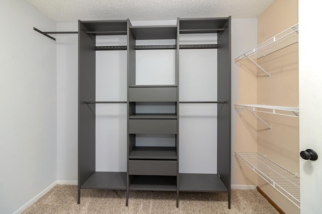 spacious closet with carpet