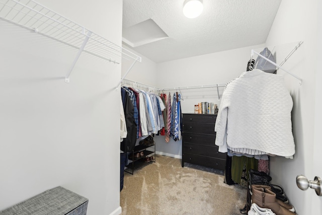 walk in closet with light colored carpet