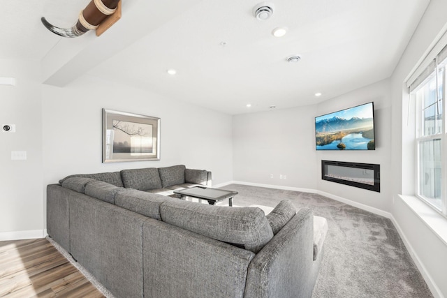 living room featuring hardwood / wood-style floors