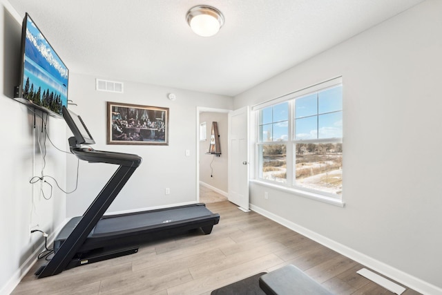 exercise room featuring light hardwood / wood-style flooring