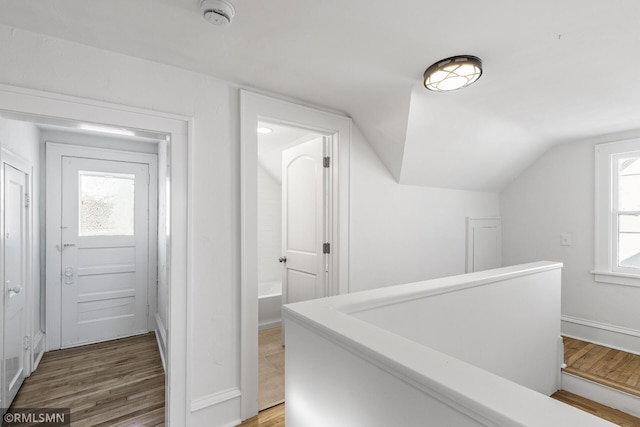 hall with hardwood / wood-style floors, lofted ceiling, and a healthy amount of sunlight