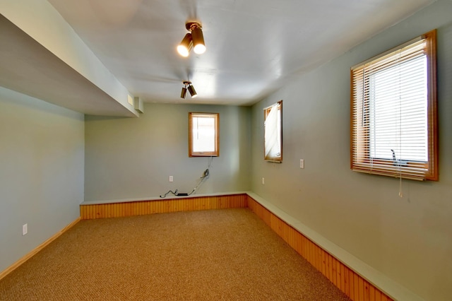 spare room featuring wood walls and carpet