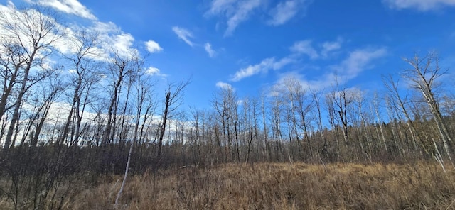 Listing photo 3 for TBD 359th Ln, Aitkin MN 56431