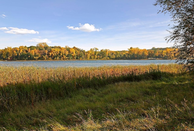 water view with a forest
