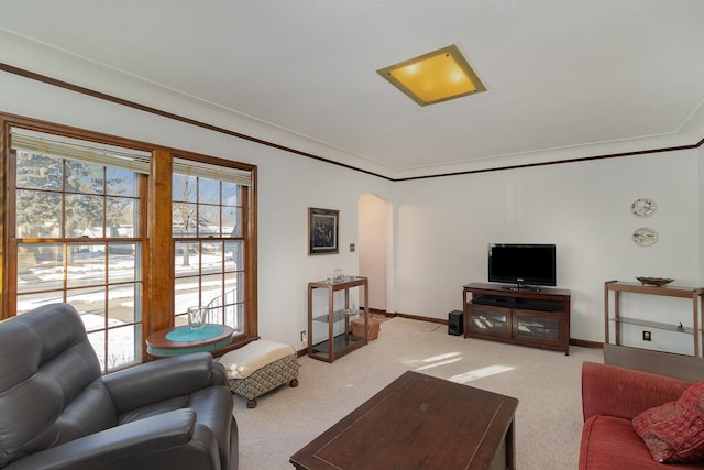 carpeted living room with ornamental molding