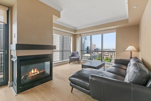 living room with light hardwood / wood-style flooring, ornamental molding, and a multi sided fireplace