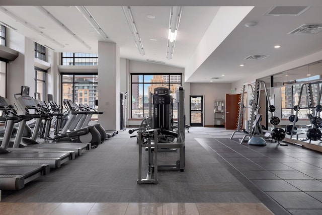 exercise room featuring lofted ceiling